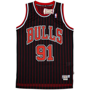 Chicago Bulls 1995-96