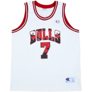 Chicago Bulls 2004-09