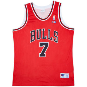 Chicago Bulls 2004-09
