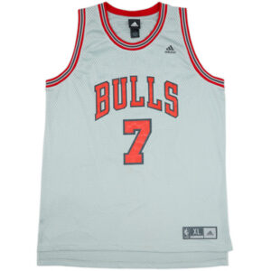 Chicago Bulls 2006-07