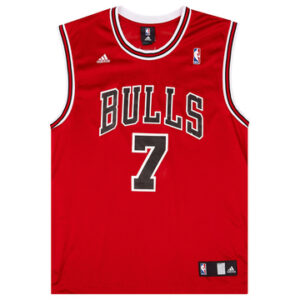 Chicago Bulls 2006-09