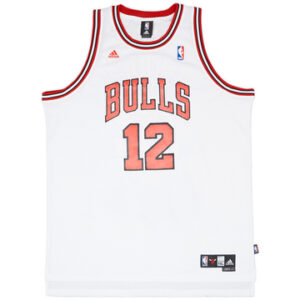 Chicago Bulls 2006-10