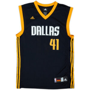 Dallas Mavericks 2008-09