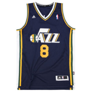 Utah Jazz 2010-11