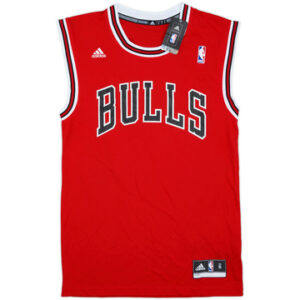 Chicago Bulls 2010-14