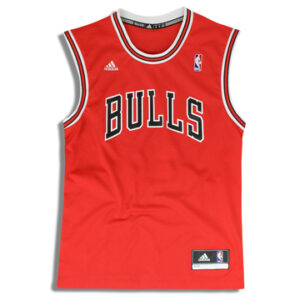 Chicago Bulls 2010-14