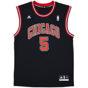 Chicago Bulls 2010-14