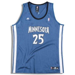 Minnesota Timberwolves 2010-11