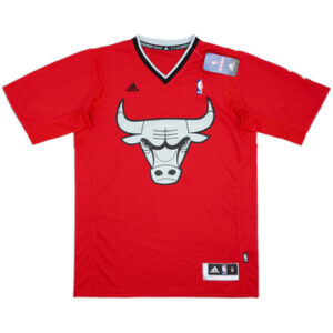 Chicago Bulls 2013-14