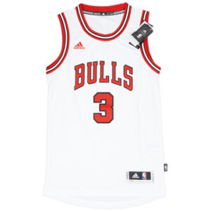 Chicago Bulls 2016-17