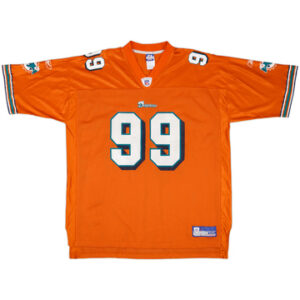 Miami Dolphins 2003-04