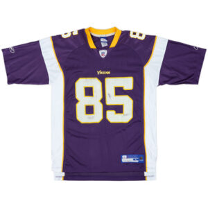 Minnesota Vikings 2005-06