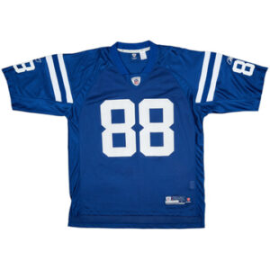 Indianapolis Colts 2008-09