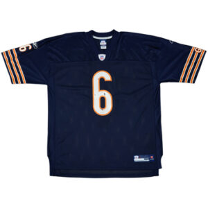 Chicago Bears 2009-10
