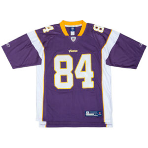 Minnesota Vikings 2010-11