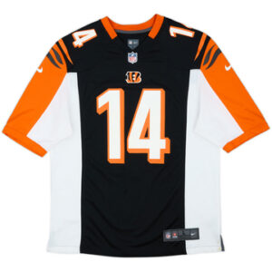 Cincinnati Bengals 2012-19