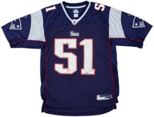 New England Patriots 2008-09