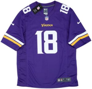 Minnesota Vikings 2020-25