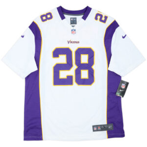 Minnesota Vikings 2012-13