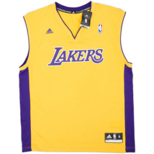 Los Angeles Lakers 2013-14