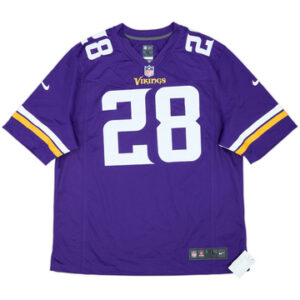 Minnesota Vikings 2013-16