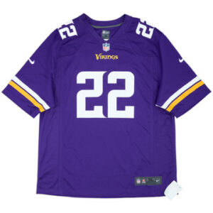 Minnesota Vikings 2013-14
