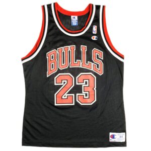 Chicago Bulls 1995-99