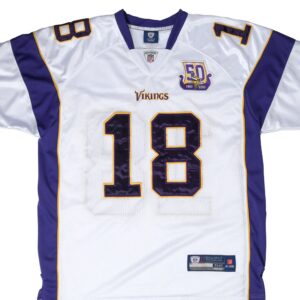 Minnesota Vikings 2010-11