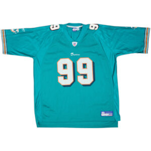 Miami Dolphins 2002-04