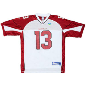 Arizona Cardinals 2008-09